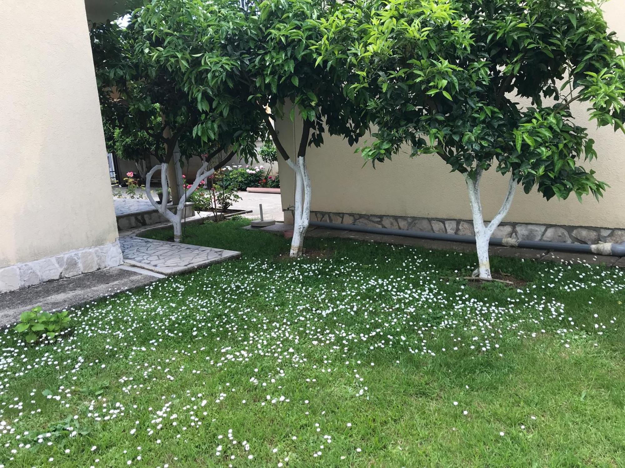 Apartment K2 Radanovici Ngoại thất bức ảnh