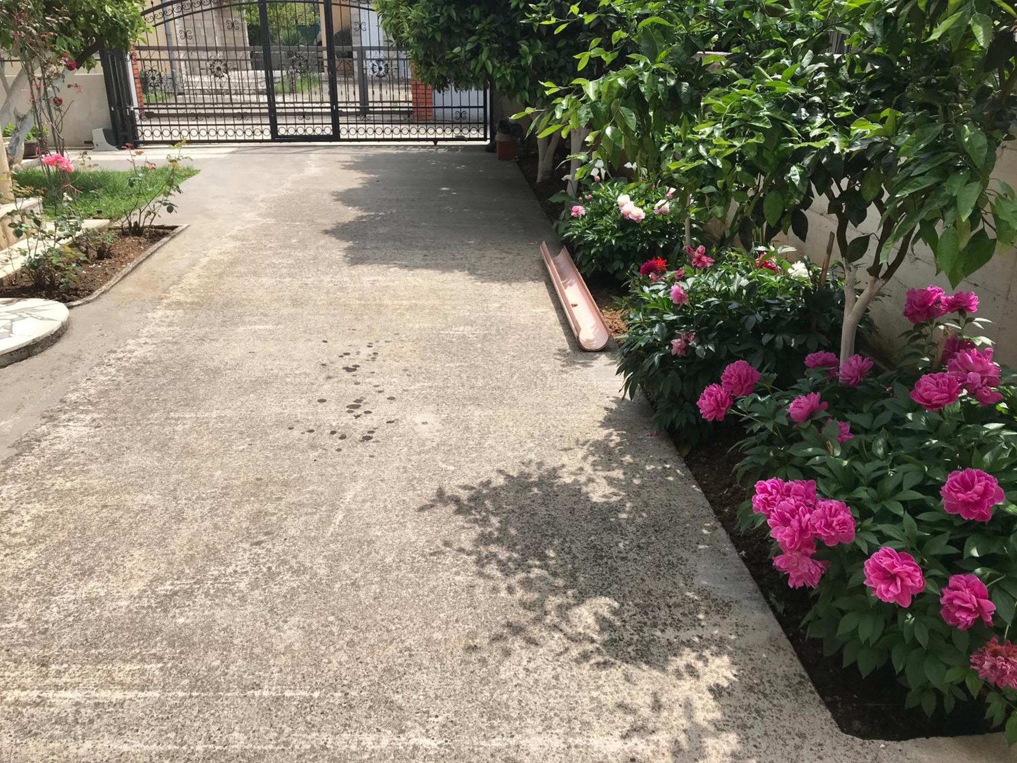 Apartment K2 Radanovici Ngoại thất bức ảnh